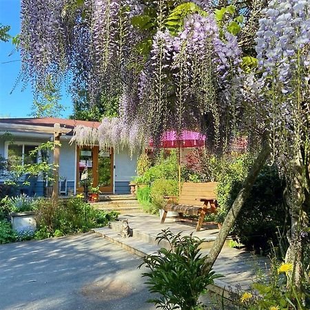 Wisteria Guest House Ganges Esterno foto